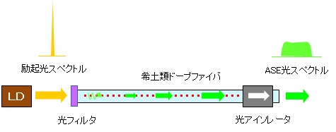 ASE光源の基本構成